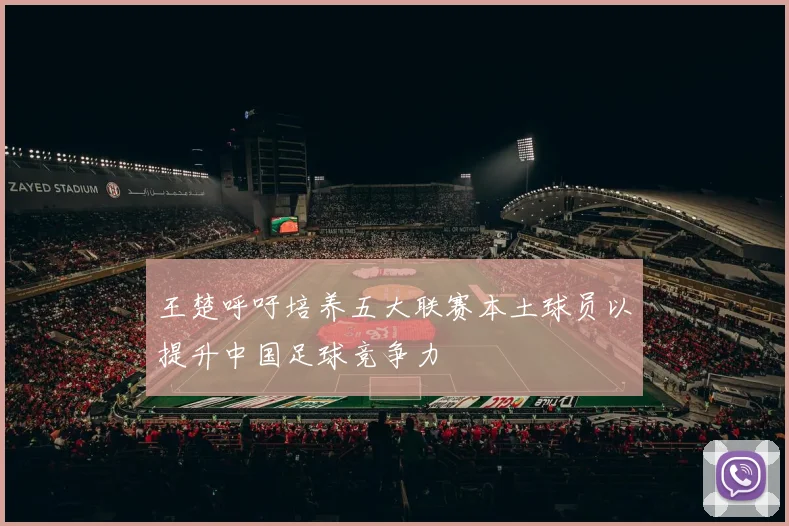 王楚呼吁培养五大联赛本土球员以提升中国足球竞争力